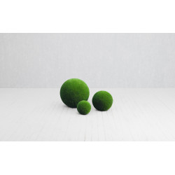 Ball small T3-1117